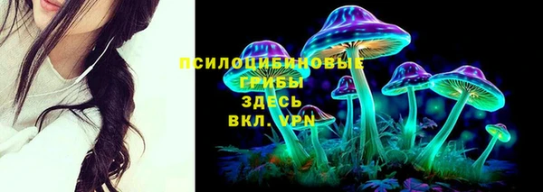 дурь Арсеньев