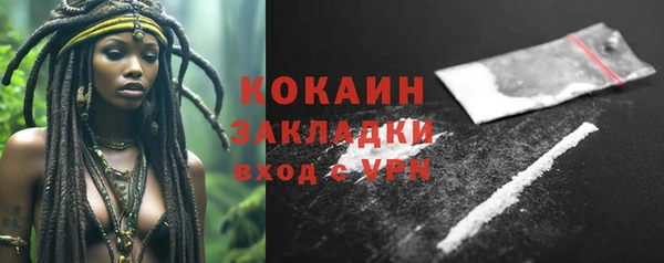 дурь Арсеньев